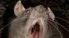 post thumbnail